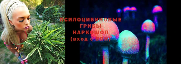 сатива Переславль-Залесский