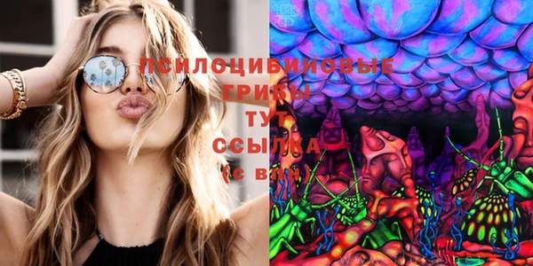хмурый Пестово