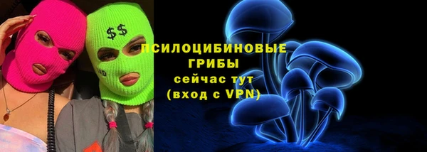 сатива Переславль-Залесский