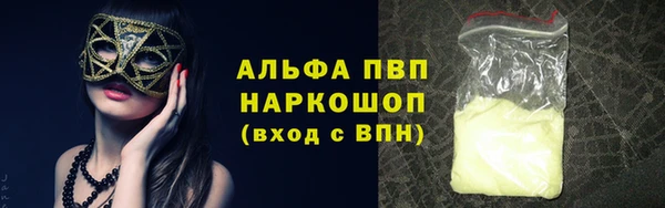 хмурый Пестово