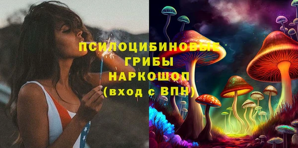 хмурый Пестово