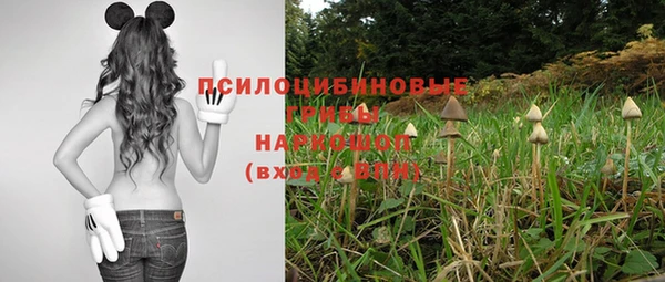 круглые Пересвет