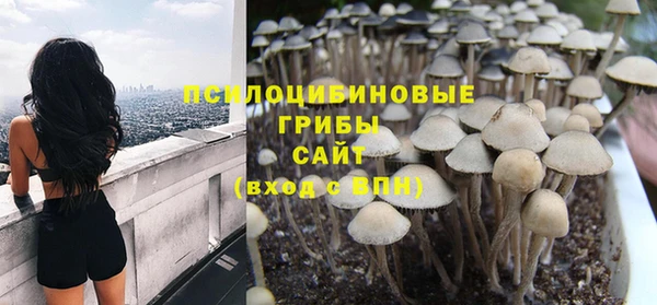 сатива Переславль-Залесский