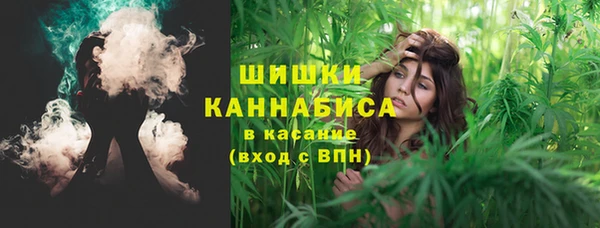 сатива Переславль-Залесский