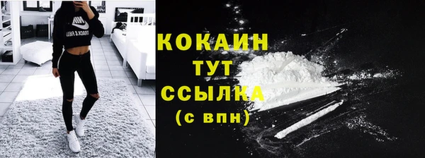 сатива Переславль-Залесский