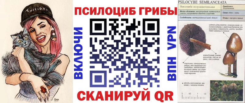 blacksprut маркетплейс  Славск  Галлюциногенные грибы мухоморы  даркнет сайт 